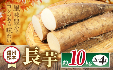 長芋 2L～4L 約10㎏｜ふるさと納税 松本市 長芋 長いも 料理 自然 芋 ビタミン 豊富 地元 新鮮