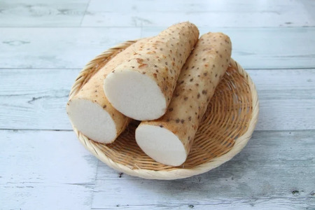 長芋 2L～4L 約10㎏｜ふるさと納税 松本市 長芋 長いも 料理 自然 芋 ビタミン 豊富 地元 新鮮