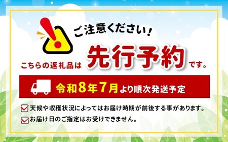 【先行受付：2026年発送】たまねぎ 2L～M 12～24玉 約5㎏