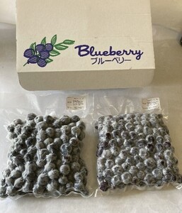 冷凍ブルーベリー 1㎏│信州 贈答用 ブルーベリー 冷凍 真空
