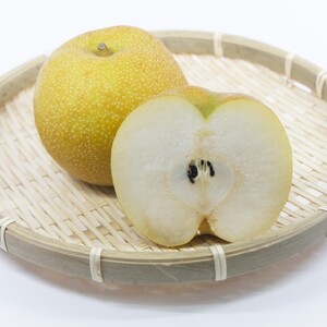 【先行受付:2026年発送】幸水 10~14玉 約5㎏