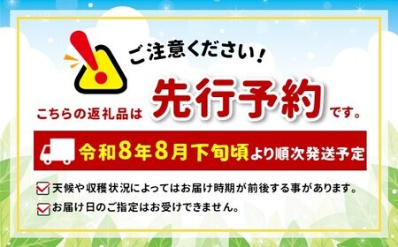 【先行受付:2026年発送】幸水 10~14玉 約5㎏