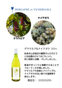 【2026年1月発送】Delaware ＆ Niagara 2025(デラウェア×ナイアガラ) 1本 750ml