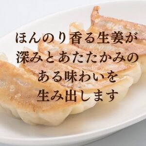 MUSCLE GYOZA SOY ～マッスルギョーザソイ～ 3パックセット 