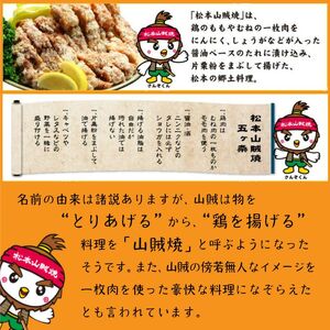 松本 山賊焼き 3本セット