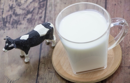 ドリンクヨーグルト生乳100% Yaourt a' boire(au lait nature) 1本500ml 