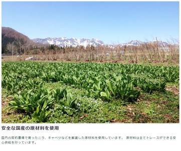 MUSCLE GYOZA PREMIUM　～マッスルギョーザプレミアム～　 3パックセット　