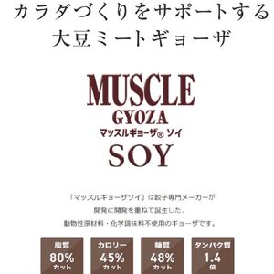 【定期便3回】MUSCLE GYOZA SOY ～マッスルギョーザソイ～ 冷凍餃子 40個入り 1袋 