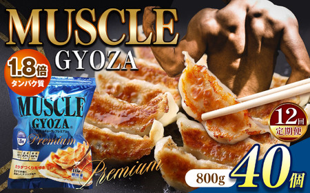 【定期便12回】MUSCLE GYOZA PREMIUM　～マッスルギョーザプレミアム～　冷凍餃子40個入り1袋