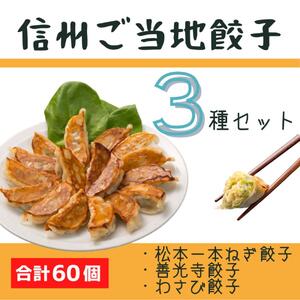 信州ご当地餃子セット 20個入り×3種 