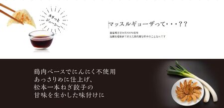 MUSCLE GYOZA ～マッスルギョーザ～ 松本一本ねぎ（40個入り）