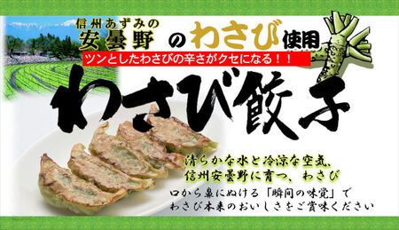 信州ご当地餃子4種&マッスルギョーザセット 合計120個！ 