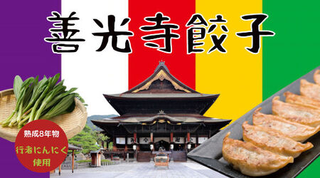 信州ご当地餃子4種&マッスルギョーザセット 合計120個！ 