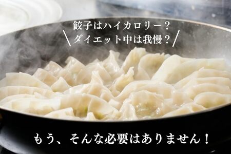 MUSCLE GYOZA ～マッスルギョーザ～3種セット（40個入り袋×3） 