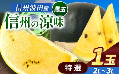 【先行受付】信州波田産 高級 黒玉スイカ ！ 信州の涼味 【特選】 2L～3Lサイズ 1玉