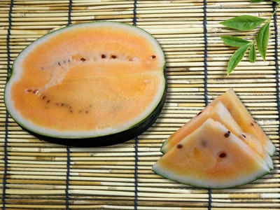 【先行受付】信州波田産 甘いスイカ！ 信州の黄昏 ( 金色羅皇 ) 【極上】 4L～5Lサイズ 1玉