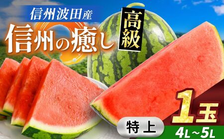 【先行受付】信州波田産 贈答用 高級スイカ！ 信州の癒し 【特上】 4L～5Lサイズ 1玉