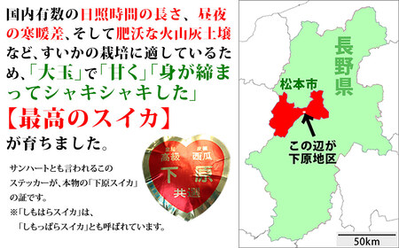 【先行受付：2026年発送】スイカ 下原すいか 信州松本波田産 2L ( 7kg ～ 8kg ) × 1玉 