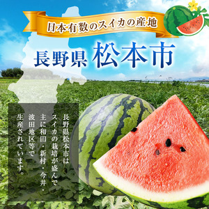 【先行受付：2026年発送】スイカ 下原すいか 信州松本波田産 2L ( 7kg ～ 8kg ) × 1玉 