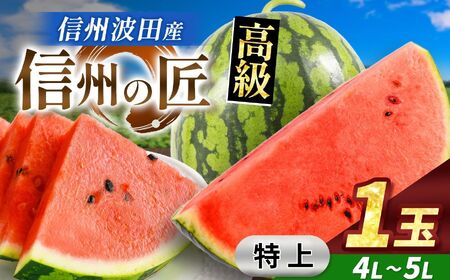 【先行受付：2026年7月発送】信州波田産 高級スイカ！信州の匠 【特上】 4L～5Lサイズ 1玉