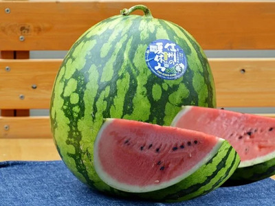 【先行受付：2026年7月発送】信州波田産 高級スイカ！信州の匠 【特上】 4L～5Lサイズ 1玉