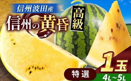 【先行受付】信州波田産 甘いスイカ！ 信州の黄昏 ( 金色羅皇 ) 【特選】 4L～5Lサイズ 1玉