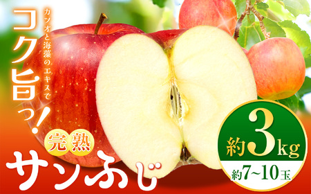 【先行受付】【完熟サンふじ3kg】鰹と海藻のエキスでコク！旨っ！全面真っ赤々！完熟サンふじ