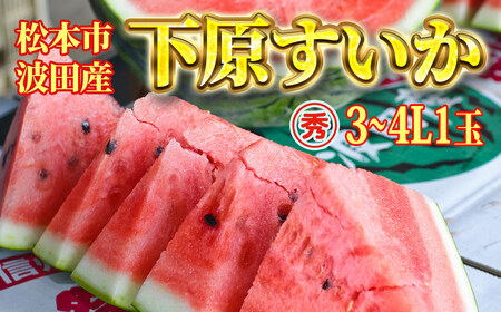 【先行受付：2026年発送】スイカ 下原すいか 信州 松本波田産 3～4L ( 8kg ～ 11kg ) × 1玉 