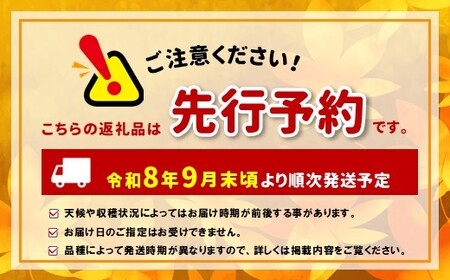 【先行受付：2026年発送】松本生まれの品種 ぶどう 黄華 (おうか) 2房 約1kg