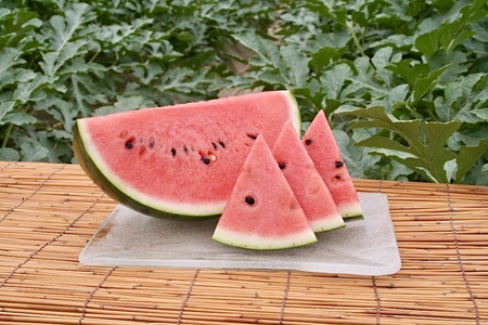 【先行受付：2026年発送】松本市 波田産 すいか 2玉入り（2L～３L,7kg～9kg)×２)