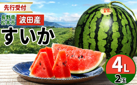 【先行受付:2026年発送】松本市 波田産 大玉すいか 2玉入り(4L 9kg~11kg)×2