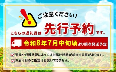 【先行受付：2026年発送】パプリカ＆パレルモ(希少品種) Lセット　約2kg
