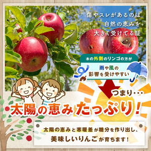 信州産 訳ありりんご【品種おまかせ】約3kg( 8~12玉) 【秋映・シナノスイート・シナノゴールド・名月・サンふじ・グラニースミス】