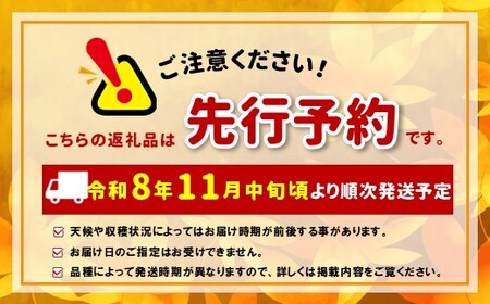 【先行受付:2026年発送】松本市産 訳ありサンふじ 約3kg( 8~12玉)