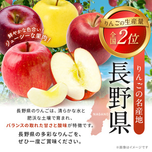 【先行受付：2026年発送】【贈答用】シナノ三兄弟　詰め合わせ　3㎏