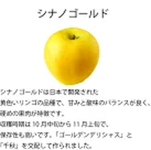 【先行受付】訳アリ　シナノゴールド　3kg（9～12玉）