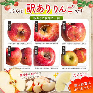 【先行受付】訳アリ　シナノゴールド　3kg（9～12玉）