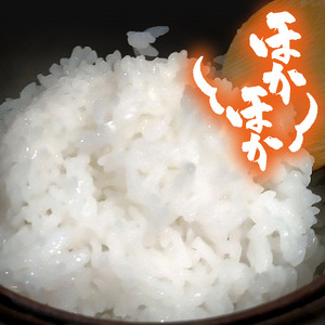 信州松本産コシヒカリ 1kg
