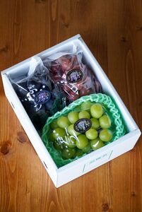 【先行受付:2026年発送】松本市山辺産 シャインマスカット・ナガノパープル・クイーンルージュ 各1房(1.5キロ以上)