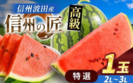 【先行受付】信州波田産 高級スイカ！信州の匠 【特選】 2L～3Lサイズ 1玉
