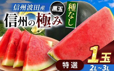 【先行受付：2026年7月発送】信州波田産 種無し黒玉スイカ！信州の極み 【特選】 2L～3Lサイズ 1玉