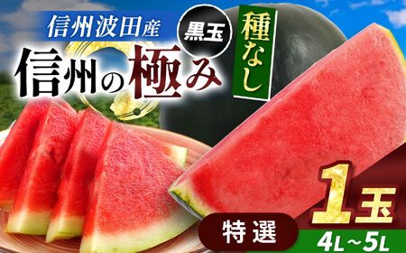 【先行受付】信州波田産 種無し黒玉スイカ！信州の極み 【特選】 4L～5Lサイズ 1玉