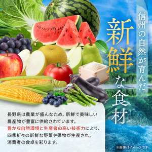 【先行受付:2026年発送】信州産 品種おまかせ旬の生プルーン 約2kg(500g×4パック)