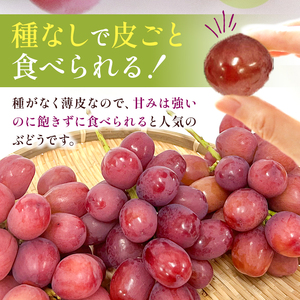 【先行受付】信州産 クイーンルージュⓇ家庭用 約1.2kg(2房~3房)