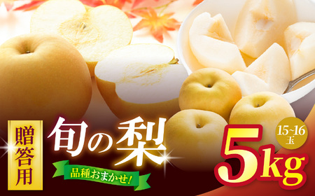 【先行予約】 贈答用 信州松本平産 梨【幸水・豊水・南水】おまかせ詰め合わせセット 約５kg(15～16玉）