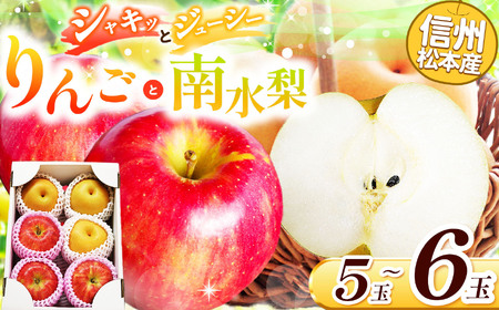 【先行受付】信州松本産　りんごと梨セット（5～6玉入り）