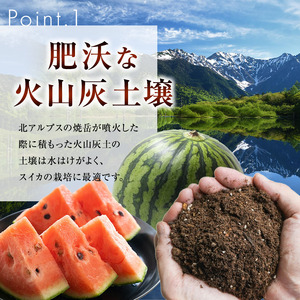 【先行受付】Heart-Landﾉﾑﾗ 波田下原産スイカ　Lサイズ　1個（6～７ｋｇ）