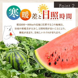 【先行受付】Heart-Landﾉﾑﾗ 波田下原産スイカ　Lサイズ　1個（6～７ｋｇ）