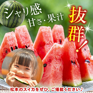 【先行受付】Heart-Landﾉﾑﾗ 波田下原産スイカ　Lサイズ　1個（6～７ｋｇ）