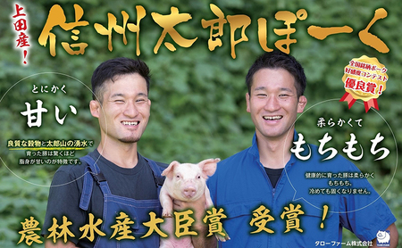 おやき 信州上田名物 みそぽーくまん 10個入り 豚まん 肉まん 野沢菜入り 信州太郎ぽーく 奏龍味噌 惣菜 おやつ 軽食 朝食 信州おやき 味噌 みそ 豚肉 豚 ポーク 長野 信州